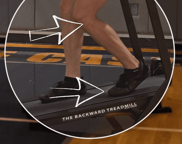 The Anatomy of Backward Walking